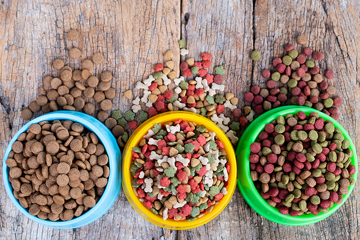 Dry dog and cat food in bowl against on wooden background - Зооинформ производители кормов для собак
