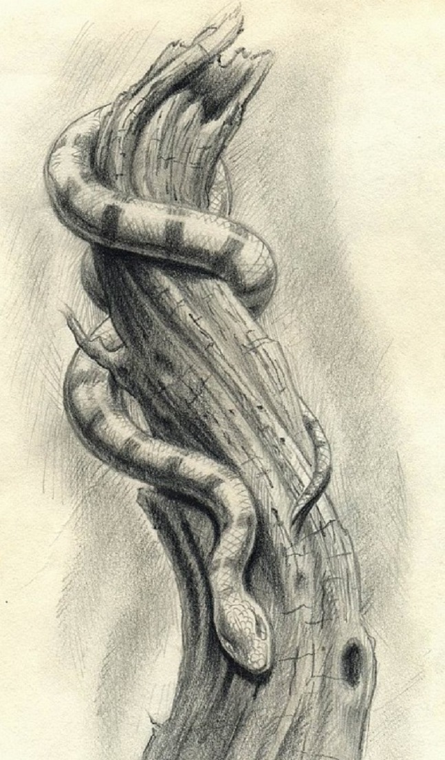 Тату змея – древнее значение, о котором мало известно (фото и эскизы цветной татуировки на разных частях тела)