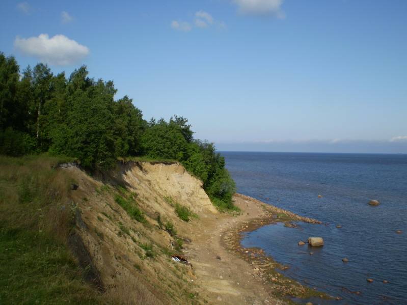 Южный берег Финского залива фото Южный берег Финского залива фото