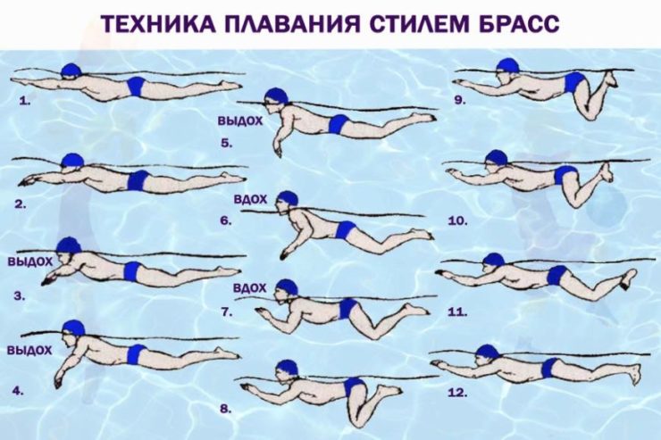 Техника плавания брассом шаг за шагом Техника плавания брассом - шаг за шагом