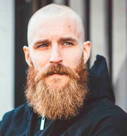 барба-Гарибальди Гарибальди